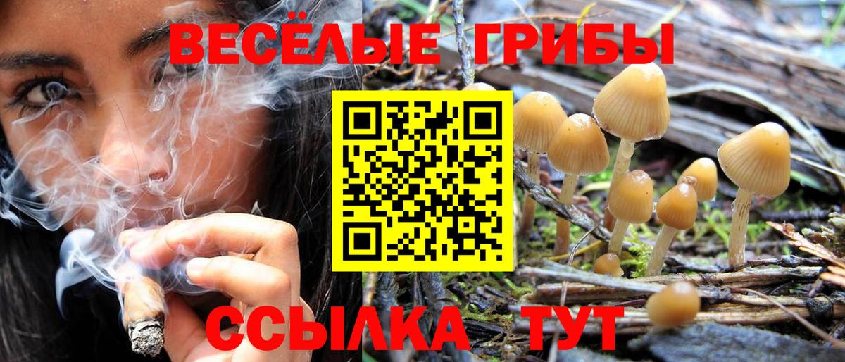 Псилоцибиновые грибы Magic Shrooms Каменск-Уральский