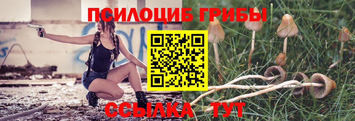 Каменск-Уральский  где купить наркоту  Вход с VPN  Галлюциногенные грибы ЛСД 